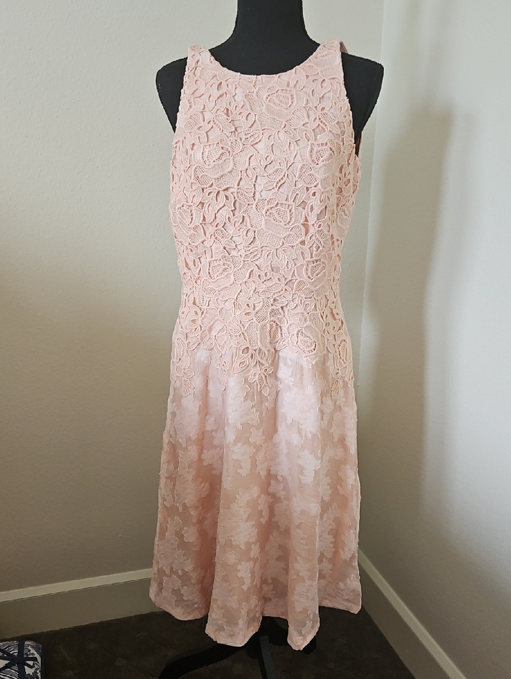 Blush Pink Lace Fit-and-Flare Dress